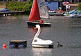 Le cygne Petra et son conjoint synthétique, photographiés à l’été 2006 sur l’Aasee, un lac de Münster, en Allemagne.