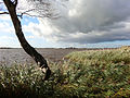 Giethoornsche Meer