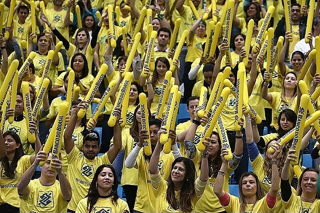 Brazilian Fans at match against Iran
