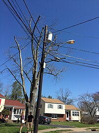 2015-04-12 14 05 33 Utility pole and street light on Peck Avenue in Ewing, New Jersey.jpg