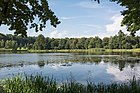 Kąpielnik pond