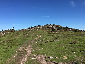2017-05-16 09 41 51 View selatan sepanjang Appalachian Trail di dekat ujung utara Wilburn Ridge Trail, melihat ke arah Pinus Gunung di ujung utara Wilburn Ridge dalam Mount Rogers National Recreation Area di Grayson County, Virginia.jpg