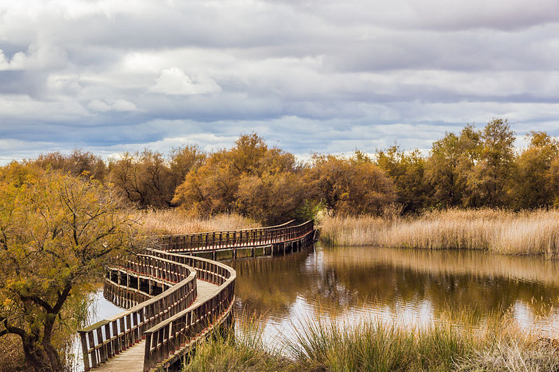 File:291114B- Tablas Daimiel - El puente - Castilla-La Mancha.jpg