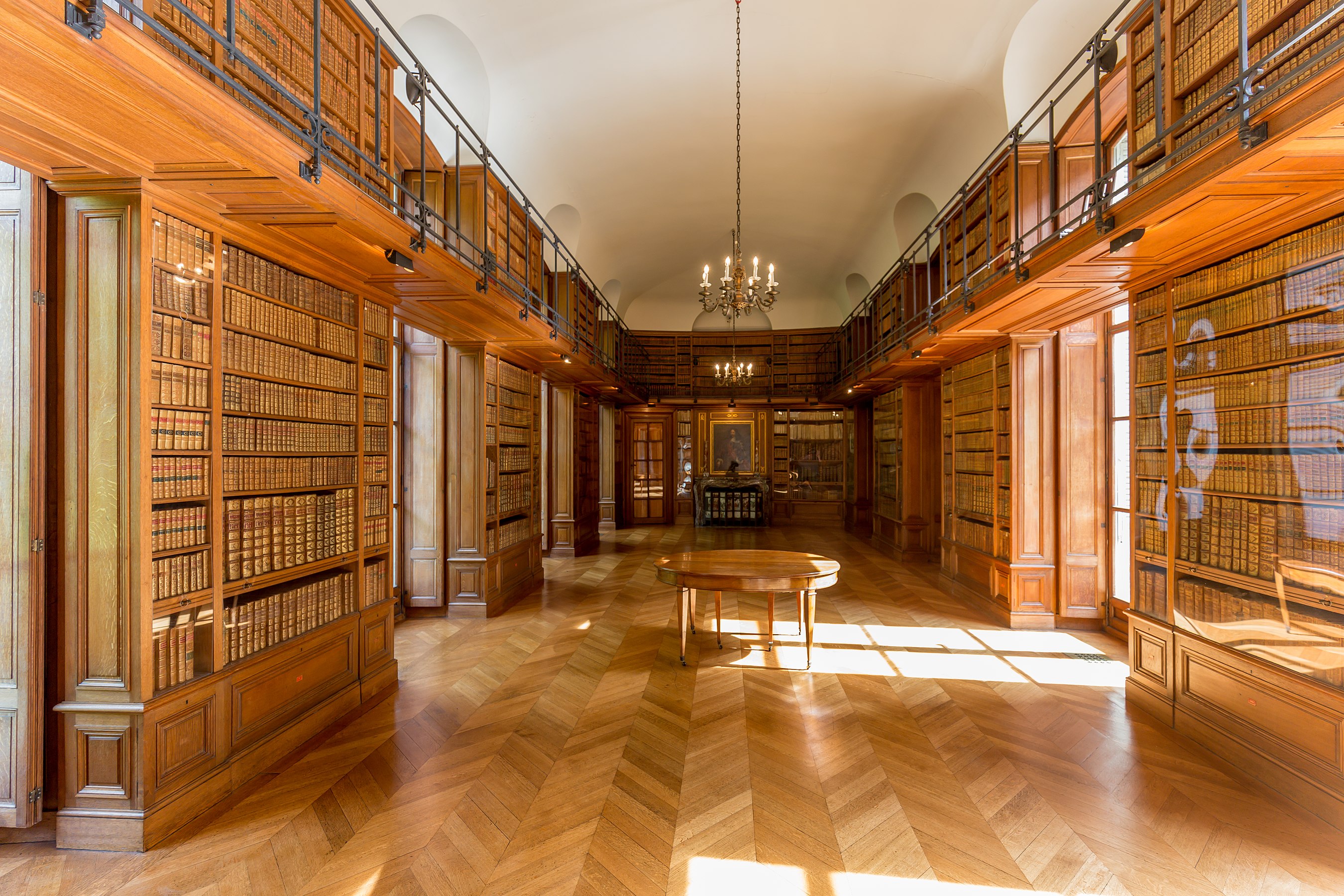 4. The Library in Castle of Belœil Author: Davidh820