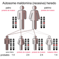 Genetiko: Molekula mekanismo de heredo, Genetika ŝanĝo, Konceptoj