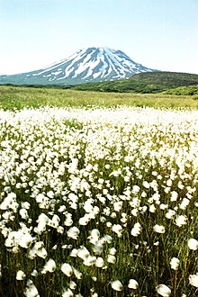 Peulik Volcano AKPen1.jpg