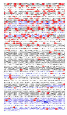 The APRT gene is constituted by 5 exons (in blue). The start (ATG) and stop (TGA) codons are indicated (bold blue). CpG dinucleotides are emphasized in red. They are more abundant in the upstream region of the gene where they form a CpG island. APRT-CpG.svg