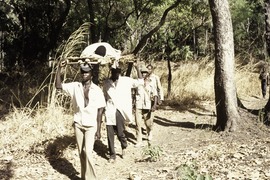 Armed escort carrying a wounded soldier to the Senegalese border, 1974