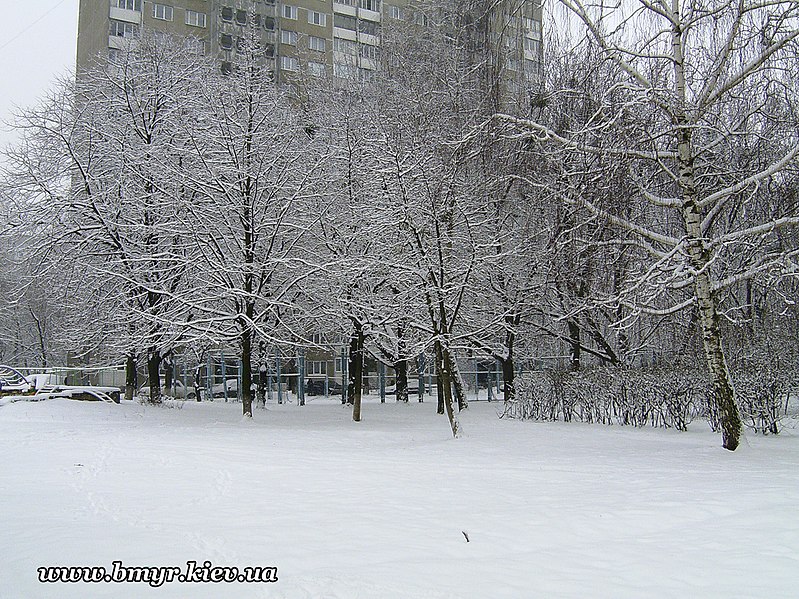 File:A yard at Liatoshinskiy str. - panoramio (2).jpg