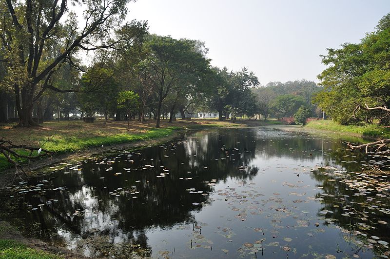 File:Acharya Jagadish Chandra Bose Indian Botanic Garden - Howrah 2011-01-08 9774.JPG