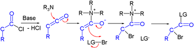 Az acil-klorid Dogo-Isonagie brómozásának reakciómechanizmusa, 2006