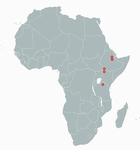 File:Afarensis Africa.jpg