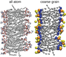 All atom vs coarse grain DPPC bilayer