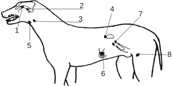 view nonlinear diffusion problems lectures given at the 2nd 1985 session of the centro