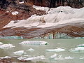 Glacial lake and the Cavell Glacier, summer 2004.