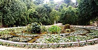 Ботанічний сад, клумби