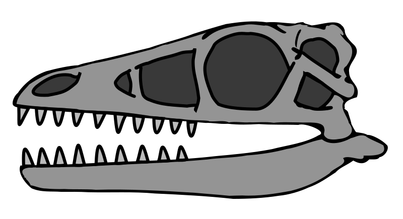 File:Archaeopteryx skull 0490.svg