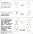 Thumbnail for version as of 17:43, 11 August 2009