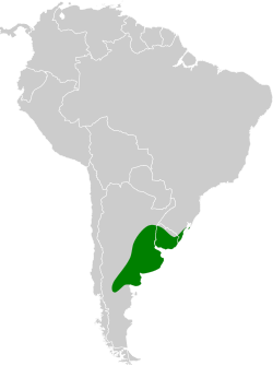 Distribución geográfica del canastero pampeano.