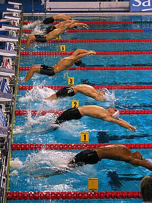 Чемпіонат Європи з водних видів спорту 2008