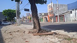 Trecho da avenida Senador Lemos no Telégrafo, em frente a escola EEEFM José Alves Maia.