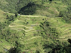 Banaue Rice Terraces hill 04