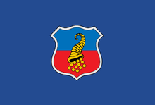 Bandera de Copiapó.png