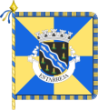 Banner of Arms of Estarreja