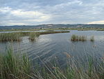 Baslar de la Turba, Torreblanca.JPG