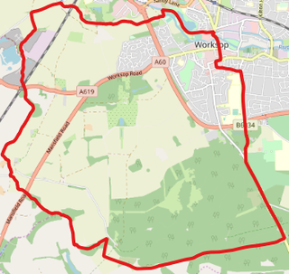 <span class="mw-page-title-main">Worksop South (Bassetlaw electoral ward)</span> Electoral ward in England