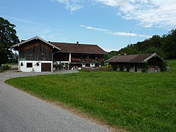 Baumstingl in Miesbach