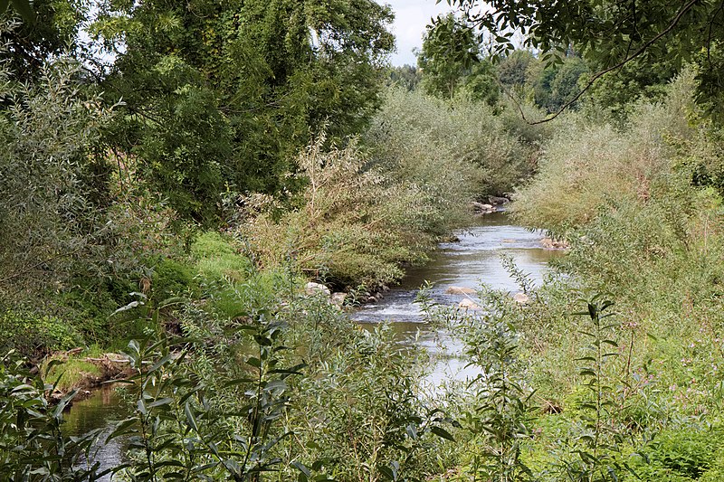 File:Bergheim - Fischach - 2020-08-31-2.jpg