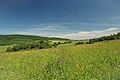 * Nomination Beskid Niski Natura 2000 protected area. Lesser Poland voivodeship, Poland. by User:Henryk Bielamowicz --Halavar 16:24, 22 June 2015 (UTC) * Promotion Good quality. --Livioandronico2013 17:08, 22 June 2015 (UTC)