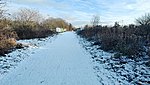 Biddick Lane railway station