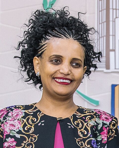 File:Birtukan Mideksa in 2018.jpg