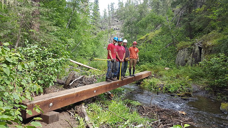 File:Black Hills National Forest - Social 3.jpg