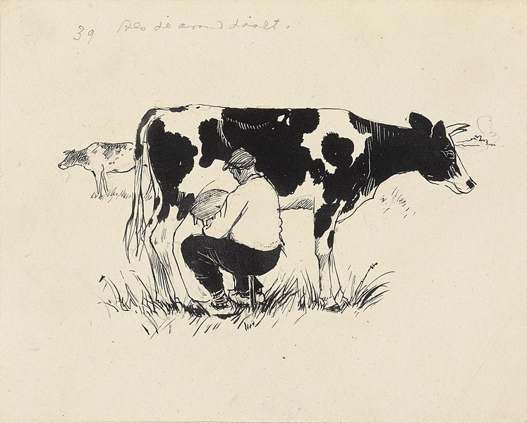 File:Boer melkt een koe, RP-T-2015-41-1558.jpg