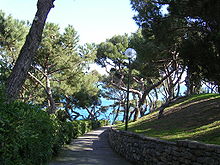 La pineta del Capo presso Bordighera