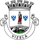 Brasão de Vizela