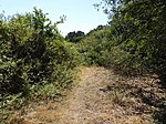 Broome Heath Pit