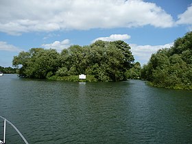 Ansicht der Insel, 28. Juni 2008.