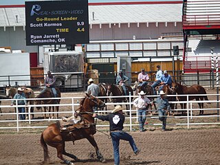 <span class="mw-page-title-main">Ryan Jarrett</span> American tie-down roper (born 1983)