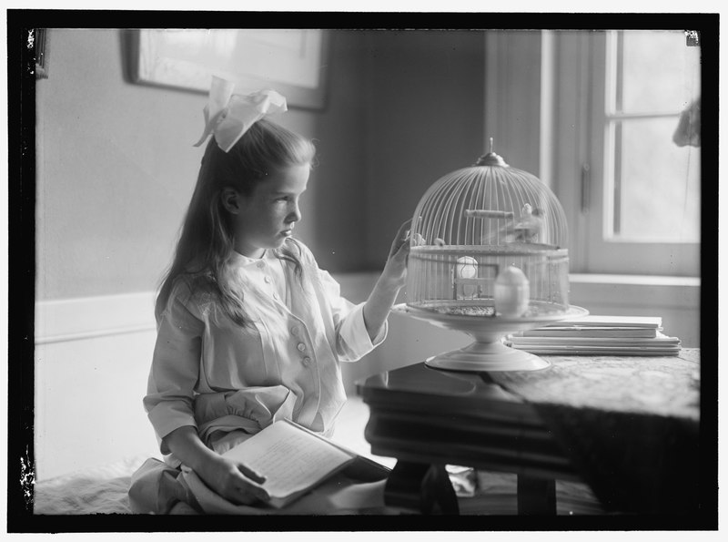 File:CHILD WITH BIRDCAGE LOC hec.07834.tif