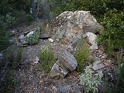 Illustrasjonsbilde av artikkelen Caixa del Camp de l'Obra