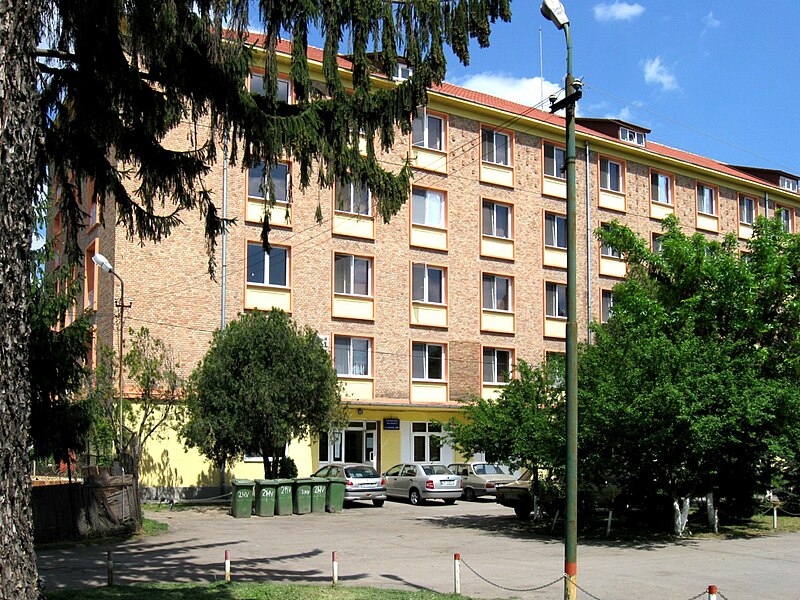 File:Camin 2MV Timisoara.jpg