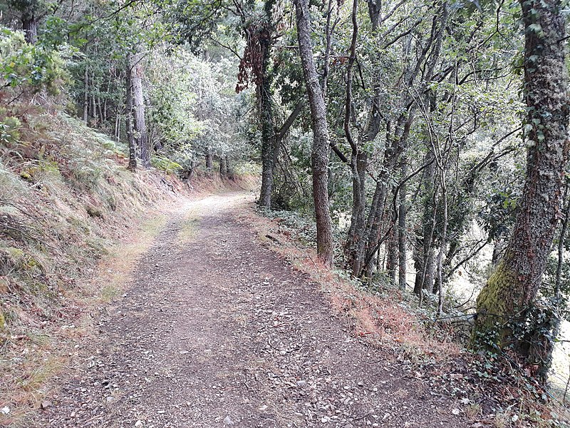 File:Camino Primitivo, Ferroy, Pola de Allande 01.jpg