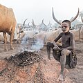 Campamento de ganado de la tribu Mundari, Terekeka, Sudán del Sur, 2024-01-29, DD 46