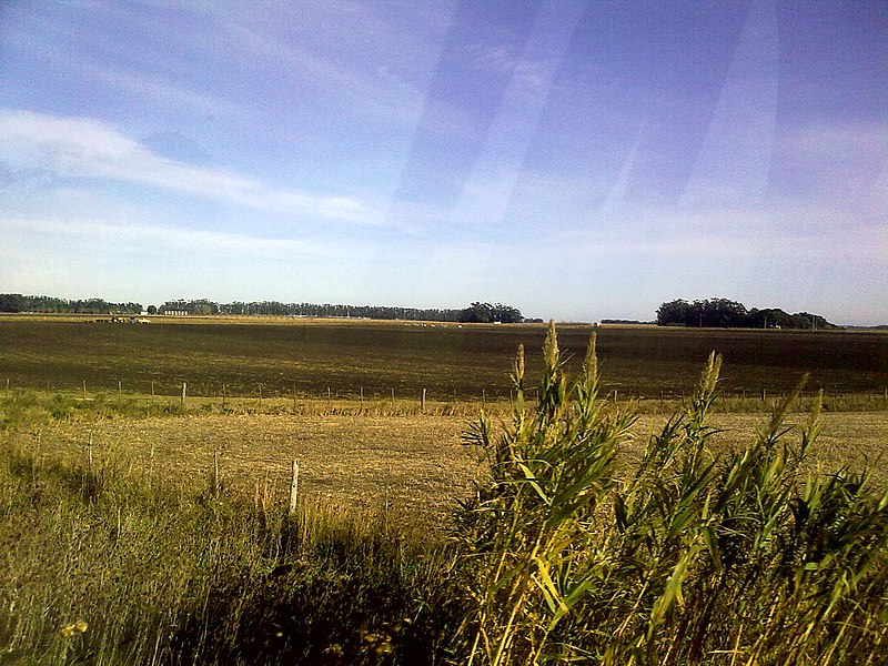 File:Campo en el camino viejo - panoramio.jpg