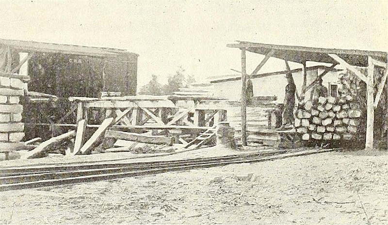 File:Canadian transportation and distribution management (1913) (14782787524) (Unloading Ties from Box Cars).jpg