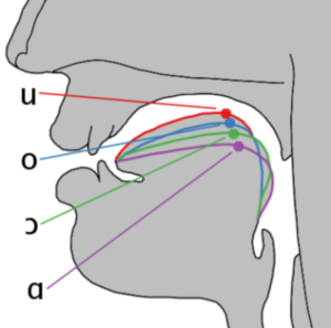 Vogal Posterior: Tipo de son vocálico